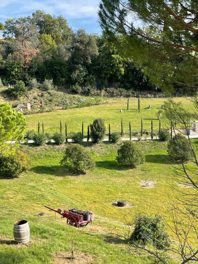 Resort Panoramico Canale Suite - Private Parking - Natural Park Sinalunga Bagian luar foto
